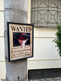 One Piece Wanted Poster