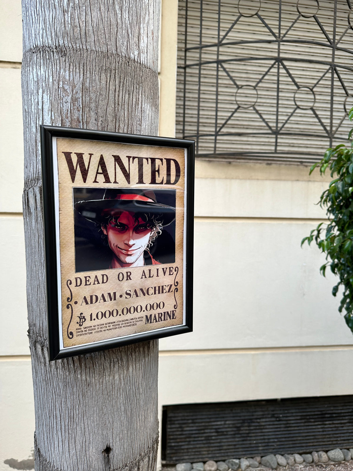 One Piece Wanted Poster